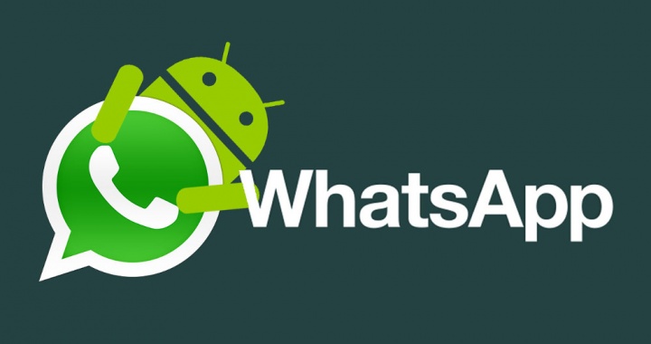 Send WhatsApp Videos as GIF