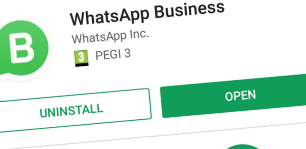 Download WhatsApp Business Apk